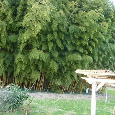 בית נופש Hargues Saint-Paul-lès-Dax